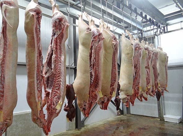 meatit_keep_connected