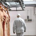 ATS-Global-Meat-Processing-Automation-Solution-Small-image