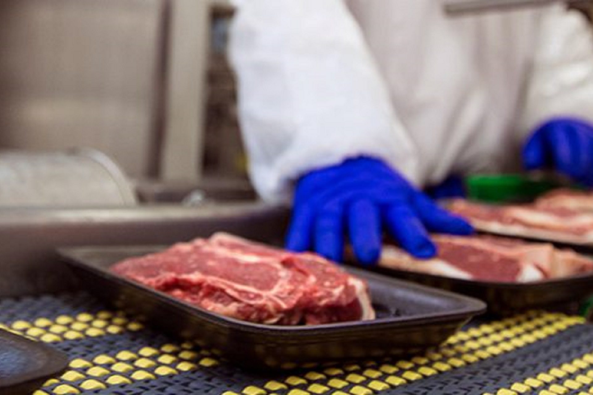 Meat_IT_Success-Story